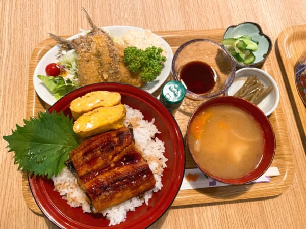 食彩 源ちゃん、うな丼イワシフライ定食