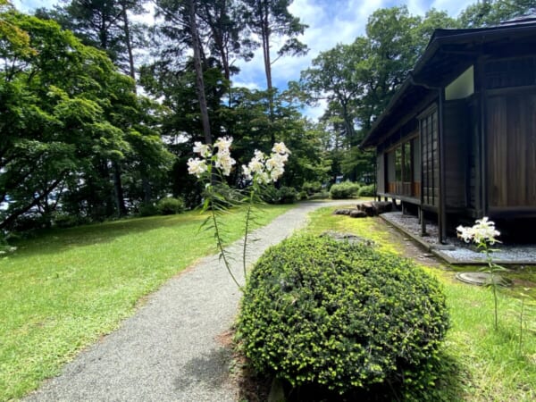 福島県 迎賓館 庭園、百合