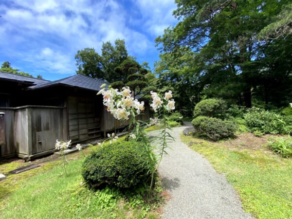福島県 迎賓館 庭園、百合