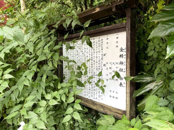 芦ノ牧温泉 金精神社 由来