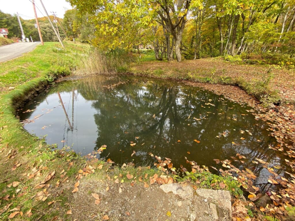 裏磐梯 小さな沼