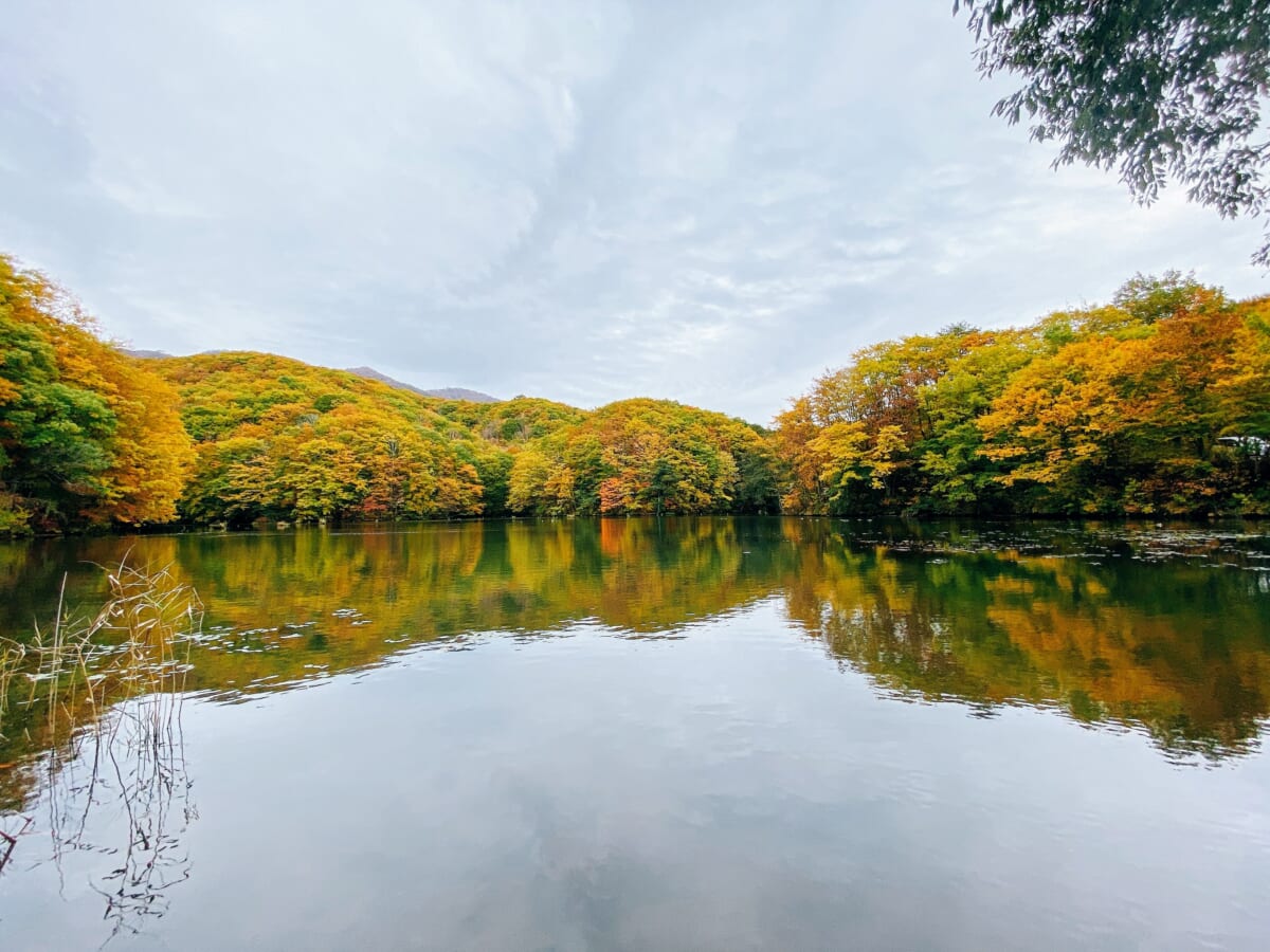 裏磐梯 曲沢沼 紅葉