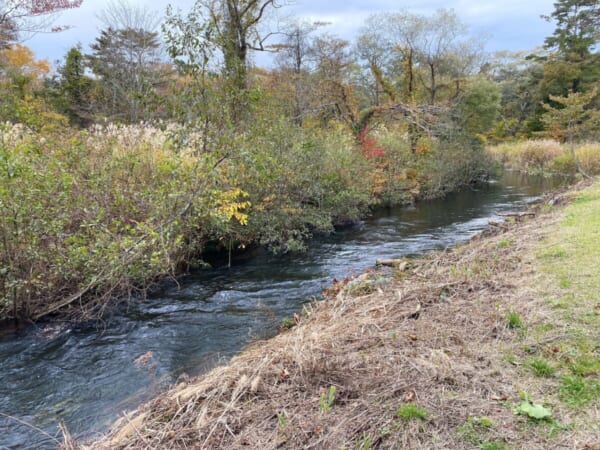 レンゲ沼・中瀬沼探照路 川