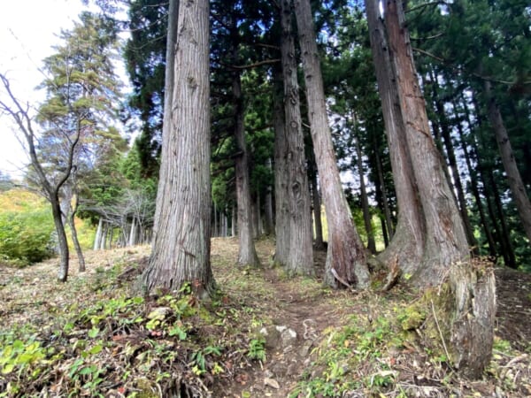 三石神社 参道