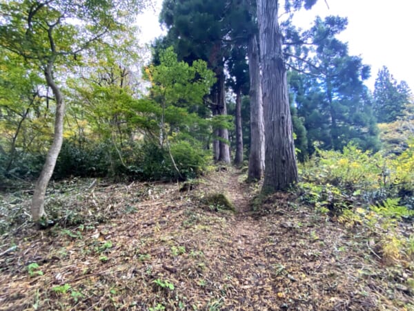 三石神社 参道