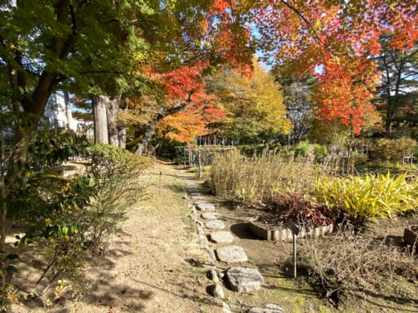 御薬園 薬用植物園