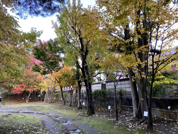 御薬園 福島県のかえで