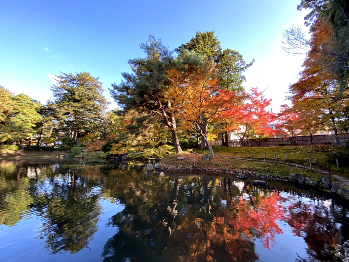 御薬園 紅葉