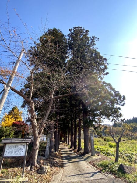 野寺薬師堂 参道