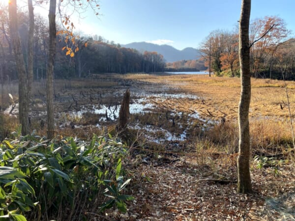 矢ノ原湿原