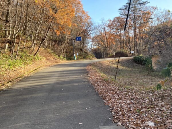 矢ノ原湿原 道路