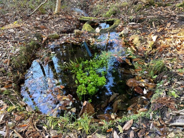 源兵衛清水 昭和村(福島県大沼郡)