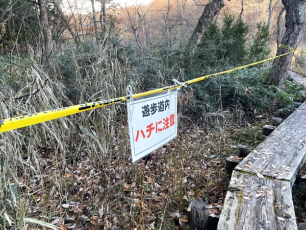 矢ノ原湿原 遊歩道 ハチに注意