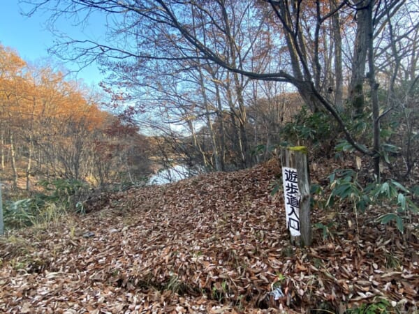 矢ノ原湿原 遊歩道入口