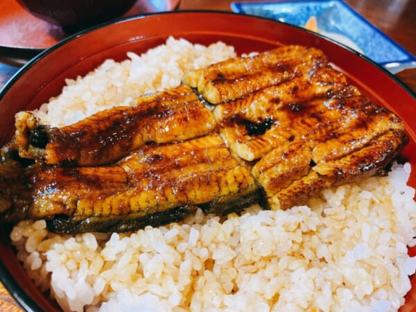 丑若丸 中うな丼