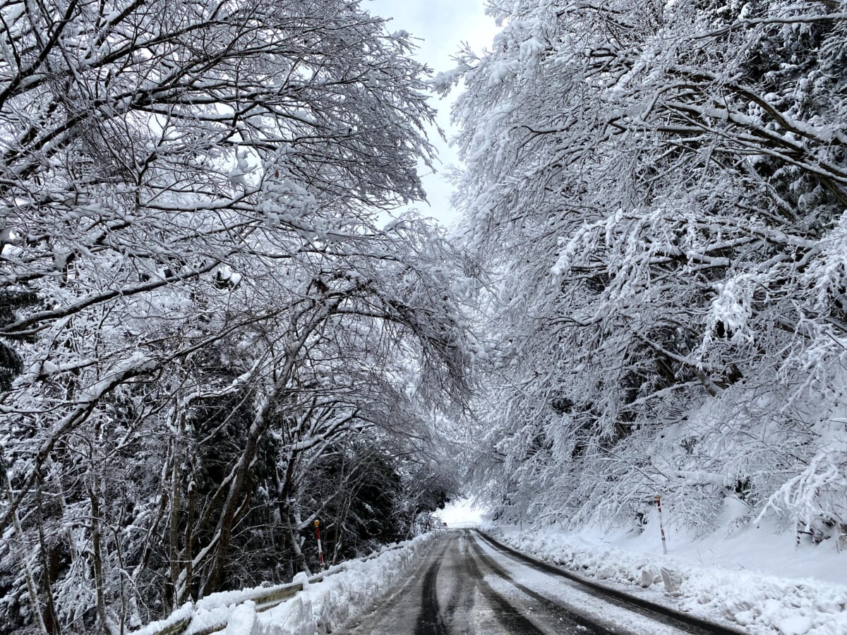 パールライン　雪景色