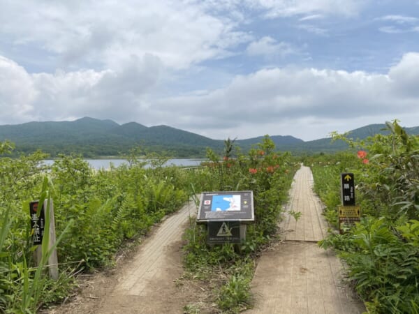 雄国沼湿原