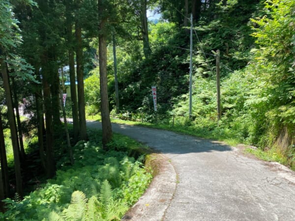 大山祇神社 参道