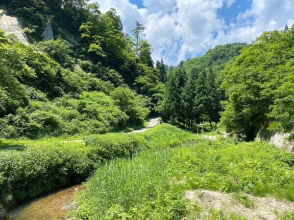 大山祇神社 参道