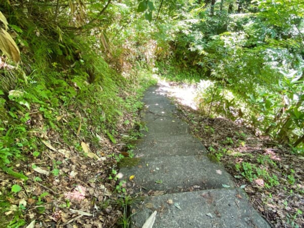 大山祇神社参道  不動滝