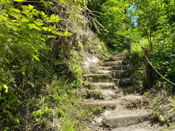 大山祇神社参道  不動滝