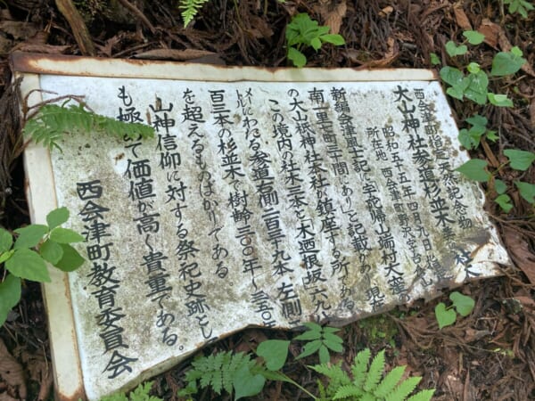 大山祇神社 会津野沢大山参道 杉並木参道