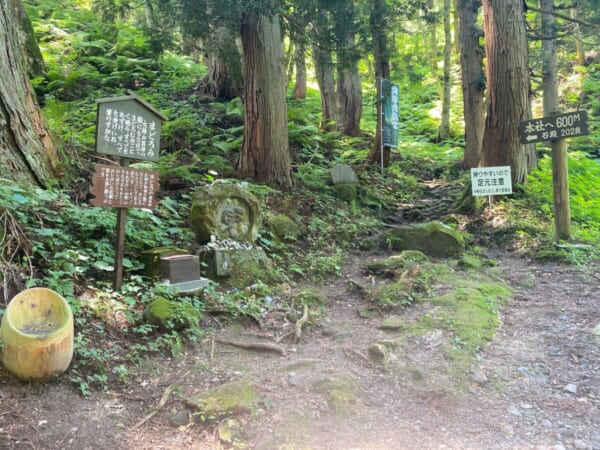 大山祇神社 会津野沢大山参道 杉並木参道