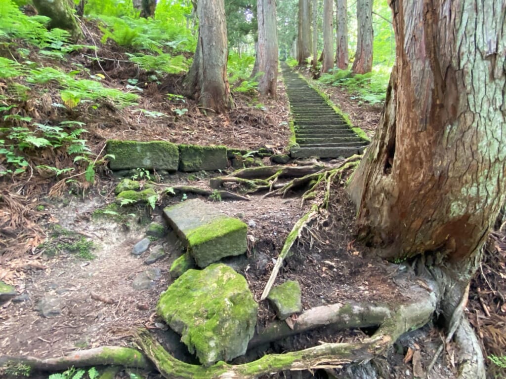 大山祇神社 会津野沢大山参道 杉並木階段