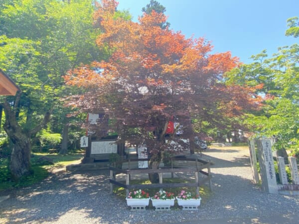 鳥追観音如法寺 仁王門