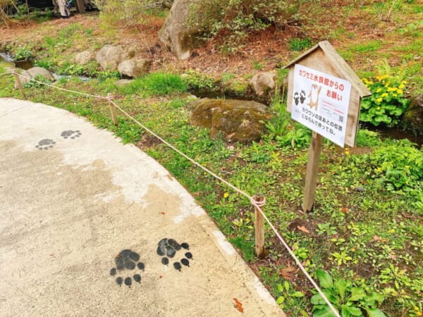 カワセミの足跡、入場制限の立ち位置でした