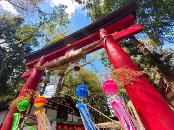 伊佐須美神社 大鳥居