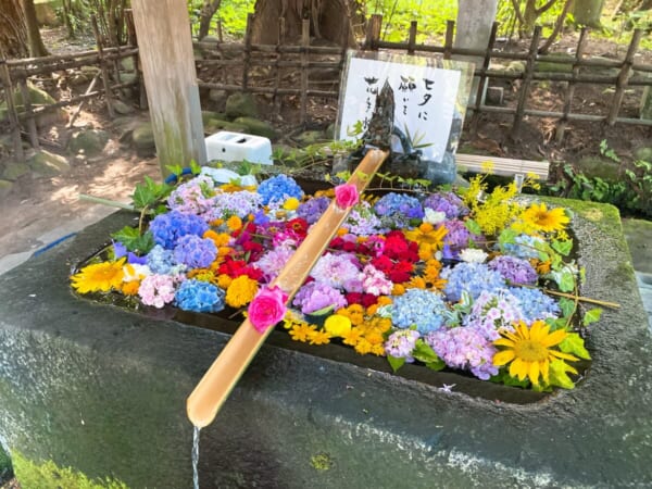 伊佐須美神社 花手水