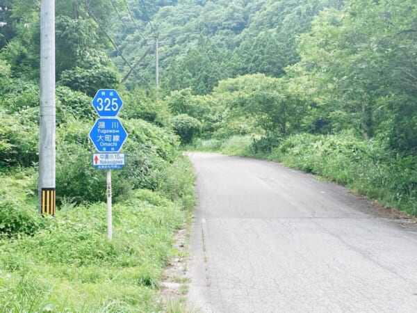 県道325号線