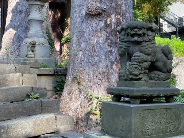 羽黒山湯上神社 狛犬