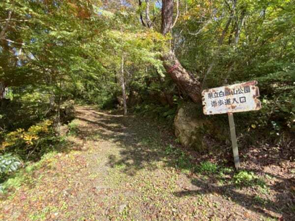 向羽黒山城跡 観音山 散策