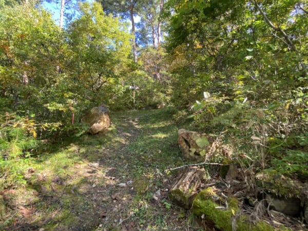 向羽黒山城跡 観音山 散策