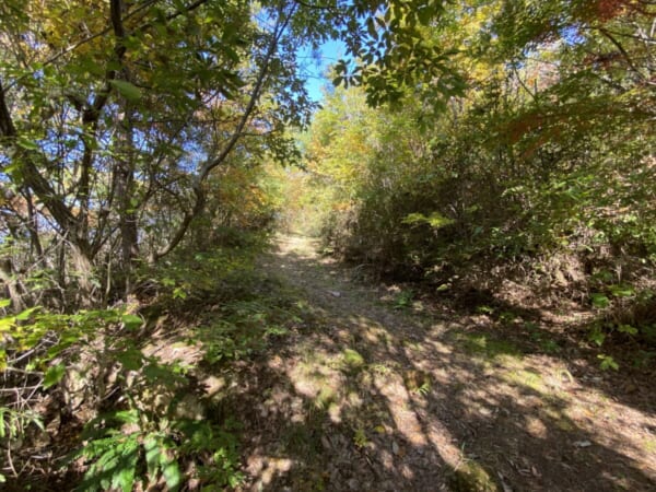 向羽黒山城跡 観音山 散策