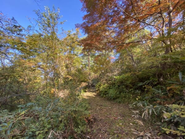 向羽黒山城跡 観音山 散策