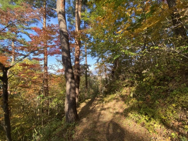 向羽黒山城跡 観音山 散策