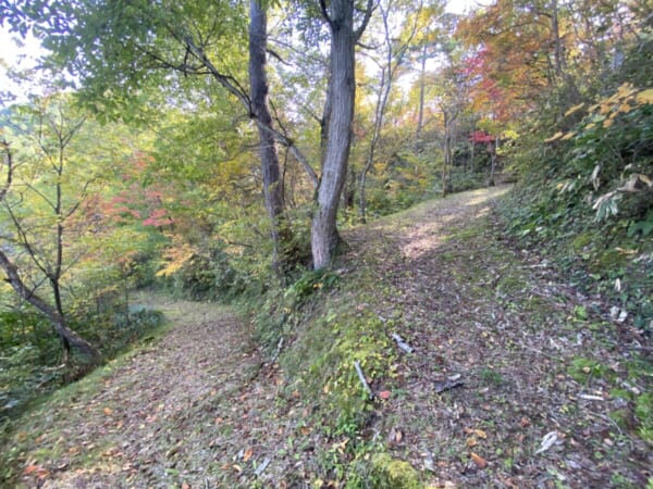 向羽黒山城跡 観音山 散策