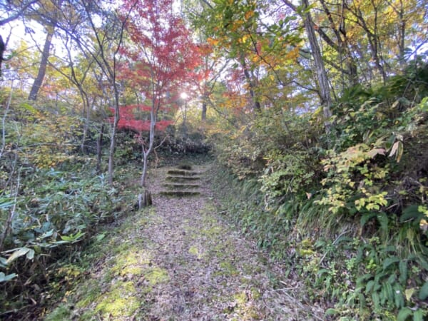 向羽黒山城跡 観音山 散策