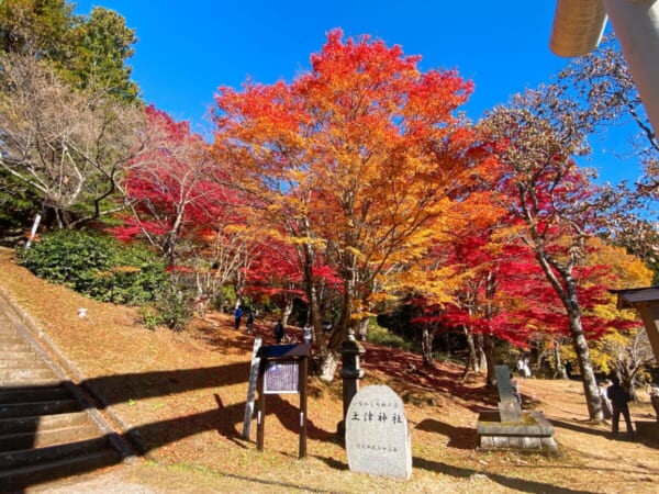 土津神社