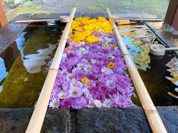 土津神社(はにつじんじゃ) 手水舎