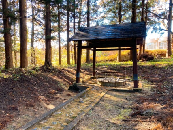 土津神社(はにつじんじゃ) 奥の院参道 手水舎