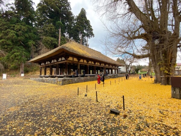 長床と大イチョウ