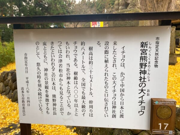 新宮熊野神社の大イチョウ