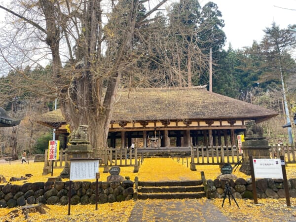 新宮熊野神社 と 長床 と 大銀杏