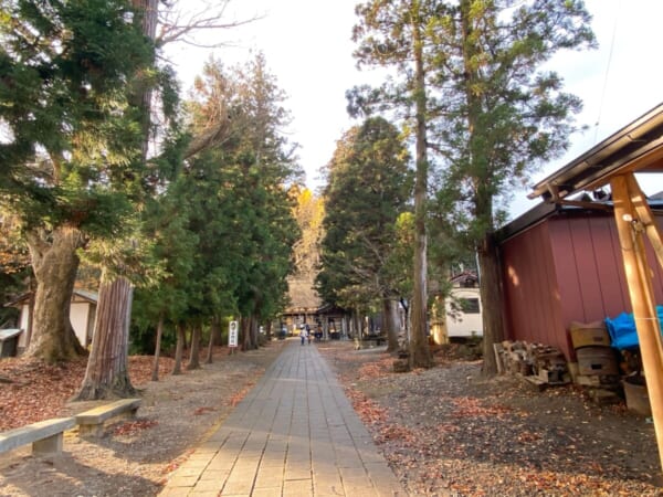 新宮熊野神社 参道