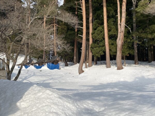 土津神社 雪景色 奥の院への参道