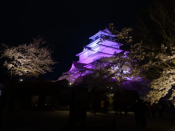 鶴ヶ城 夜桜 ライトアップ